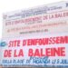 Moanda : le Ministre du Tourisme Didier Mazenga propose de transformer le site d&rsquo;enfouissement de la baleine en attraction touristique