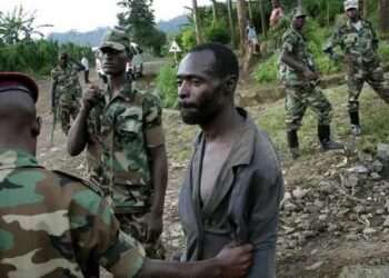 Nord-Kivu : 29 soldats rwandais et supplétifs du M23-AFC se rendent aux FARDC