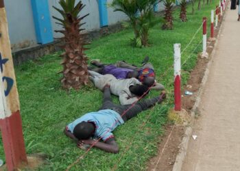 Haut-Katanga : La société civile alerte sur le retour des enfants en situation de rue à Lubumbashi
