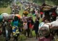 Conflits à Maï-Ndombe et Sud-Ubangi: Plus de 12 000 réfugiés congolais en République du Congo souhaitent regagner leur pays dès 2027 (HCR)